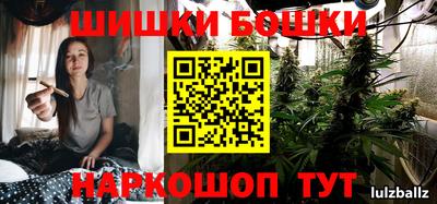 молекула духа Будённовск