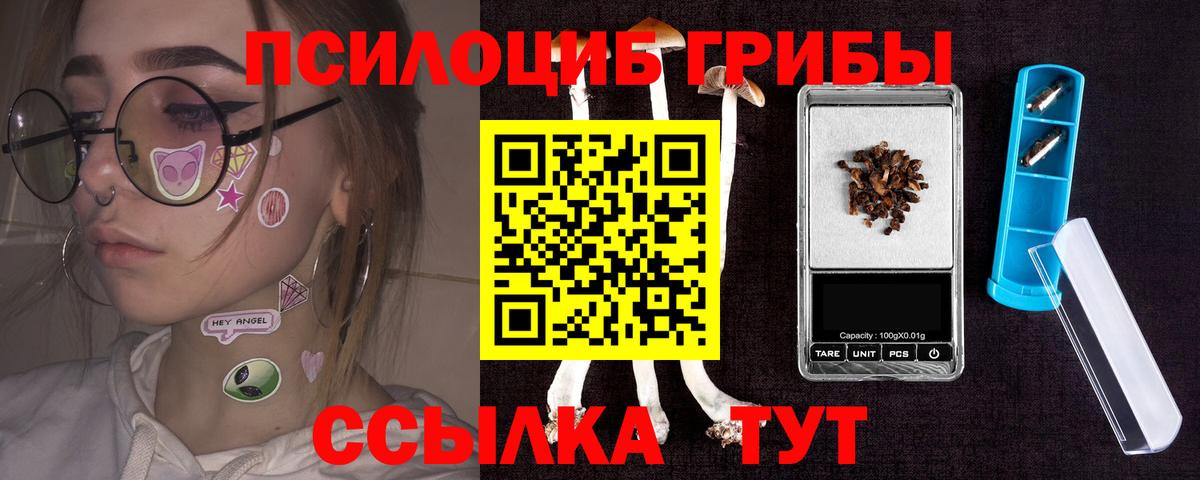 закладка  Псилоцибиновые грибы ЛСД  Вход с VPN  Галлюциногенные грибы ЛСД  Похвистнево 